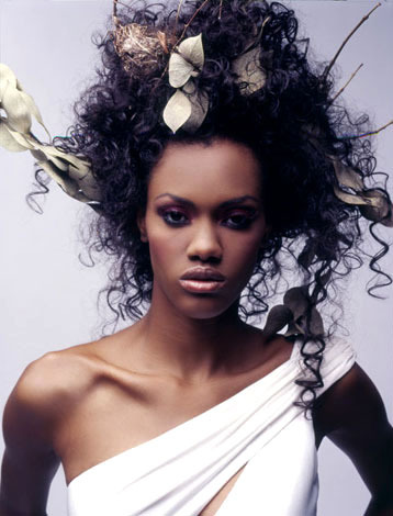 Bird-nest-jpeg-final_display